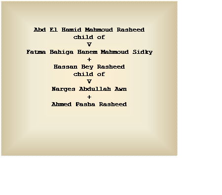 Text Box: Abd El Hamid Mahmoud Rasheed
child of
V
Fatma Bahiga Hanem Mahmoud Sidky
+
Hassan Bey Rasheed
child of
V
Narges Abdullah Awn
+
Ahmed Pasha Rasheed

